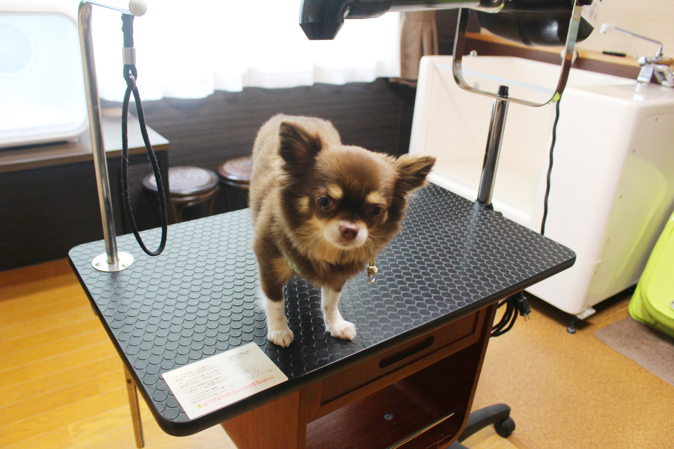 愛犬用のトリミングルーム
