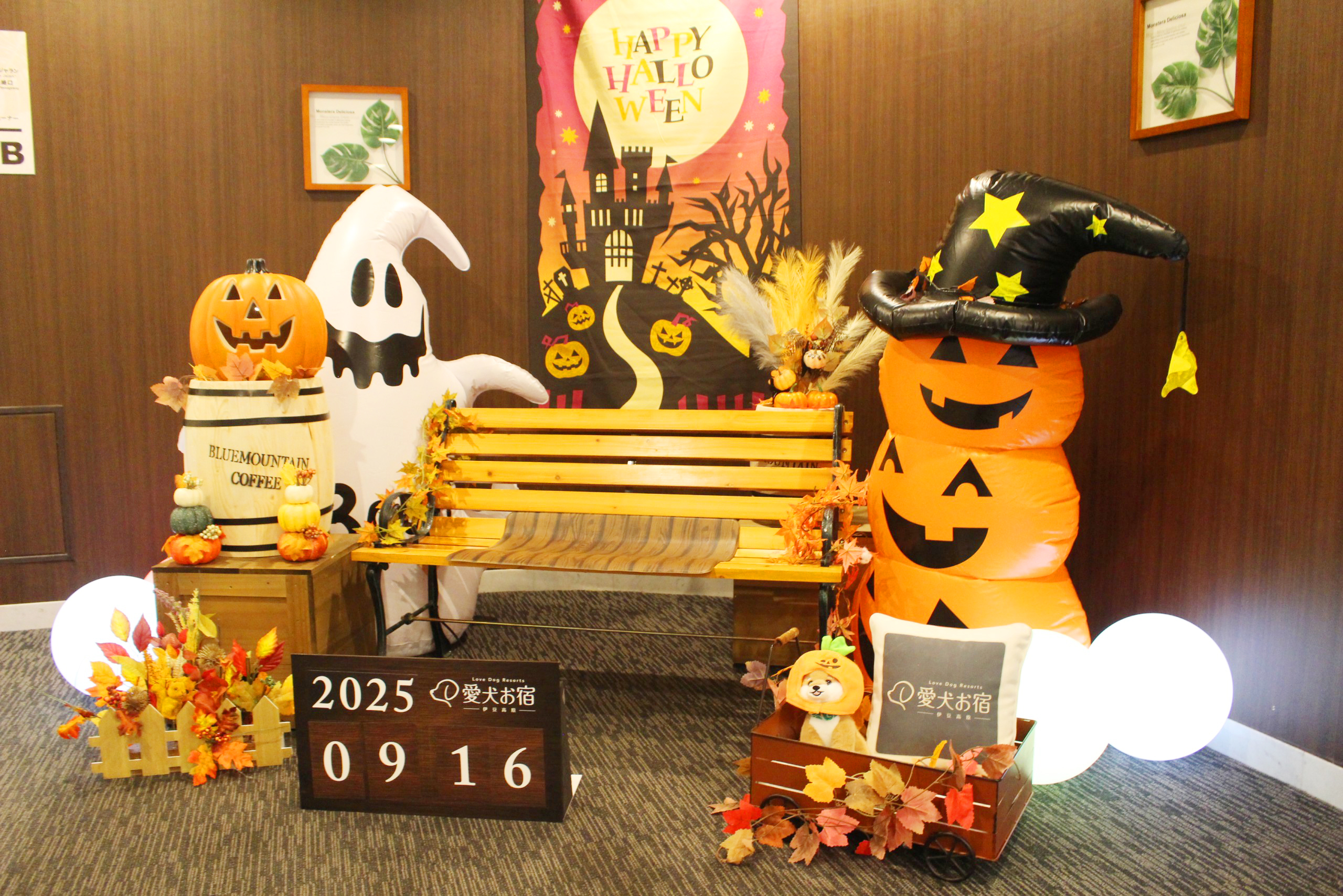 ハロウィンの飾り