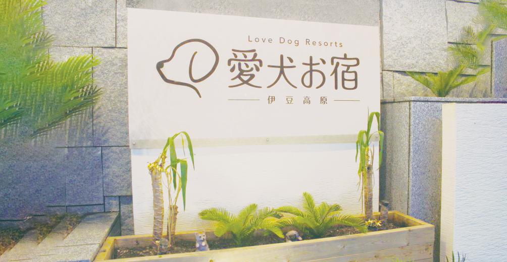 愛犬お宿の画像