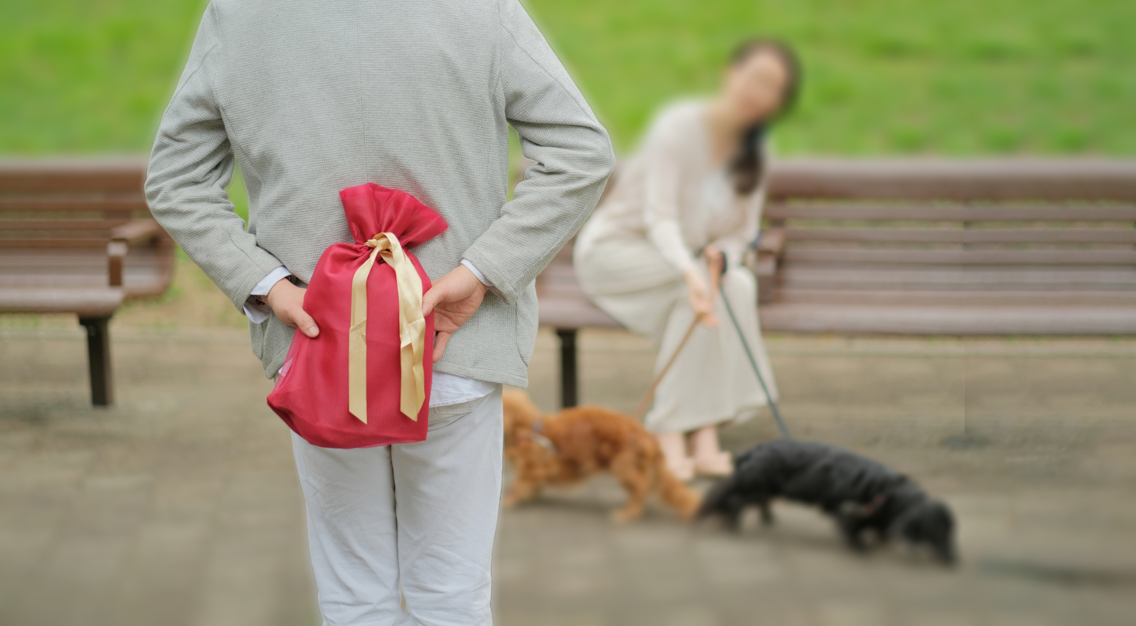 ギフトイメージ